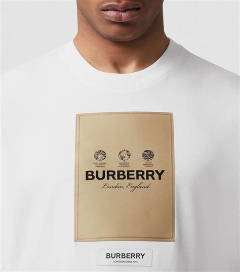 t-shirt burberry logo brown|burberry t shirt original.